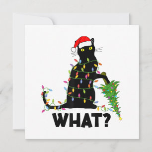 Invitación Un gato negro gracioso que presiona el árbol de Na
