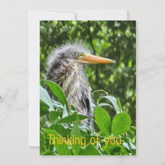 Invitación Una garza verde. Pensando en ti