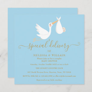 Invitación Una Pareja de Entrega Especial Baby Shower / Sprin