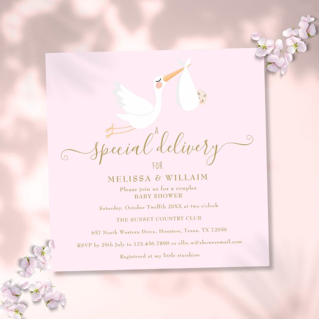 Invitación Una Pareja de Entrega Especial Baby Shower Sprinkl (A Special Delivery Couples Baby Shower Sprinkle Invitation)