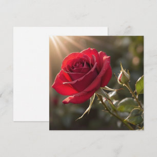 Invitación Una vibrante rosa roja, que simboliza el amor y la