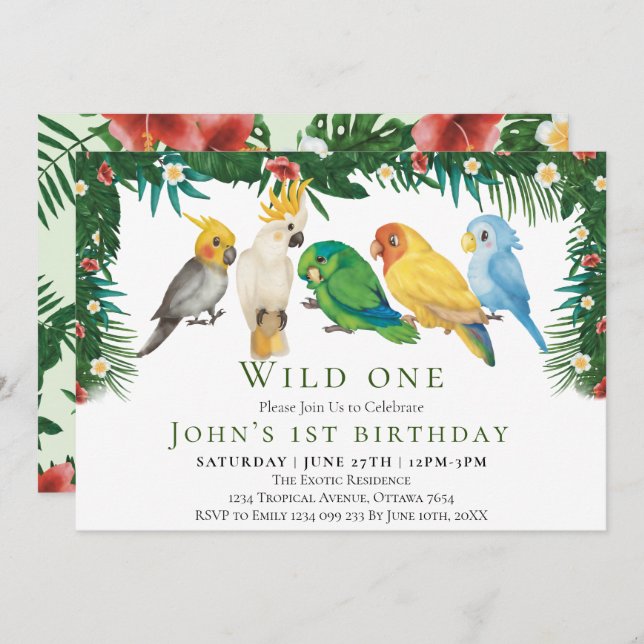 Invitación Uno Salvaje Cumpleaños Tropical Exótico Loros Niño (Anverso / Reverso)