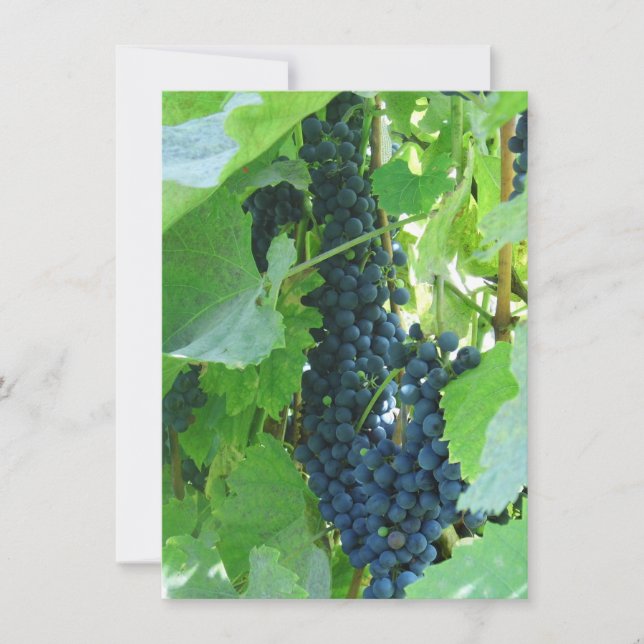 Invitación Uvas Azules (Anverso)