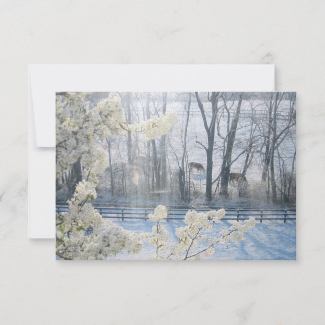 Invitación Vacas en un campo en invierno (Anverso)