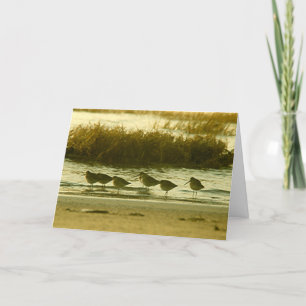 Invitación - ¡Ven y únete al Fiesta!