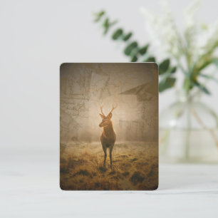 Invitación Venado en el bosque