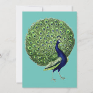 Invitación Ventilador de Peacock Open