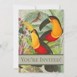 Invitación Vibrantes Aves Tropicales Turcas Arte Selva Exótic