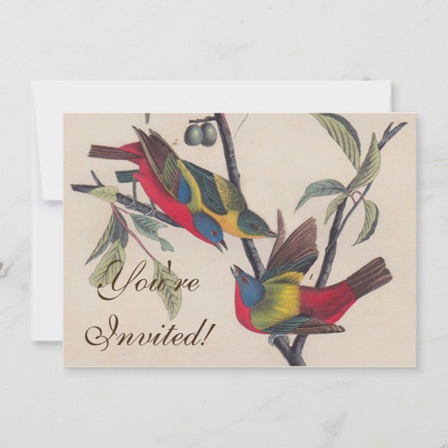 Invitación Vida silvestre de las aves de Bunting de Audubon (Anverso)