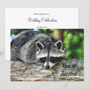 Invitación Vida silvestre Raccoon Log Mammal Photo Birday