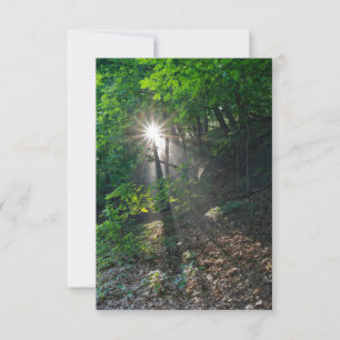 Invitación Vigas de sol de la mañana en el parque Kaposia