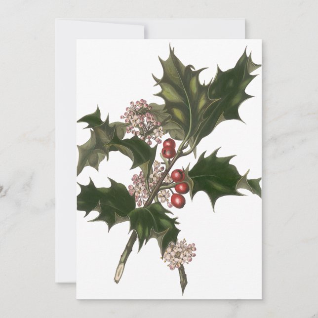 Invitación Vintage Christmas, Green Holly Planta con Berries (Anverso)