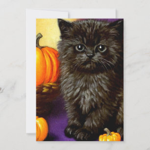 Invitación Vintage Halloween Kitten