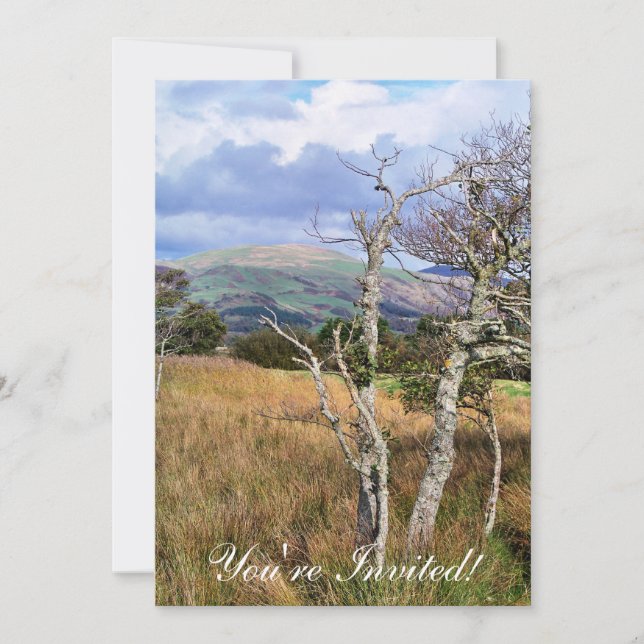 INVITACIÓN VISTAS DE GALES (Anverso)