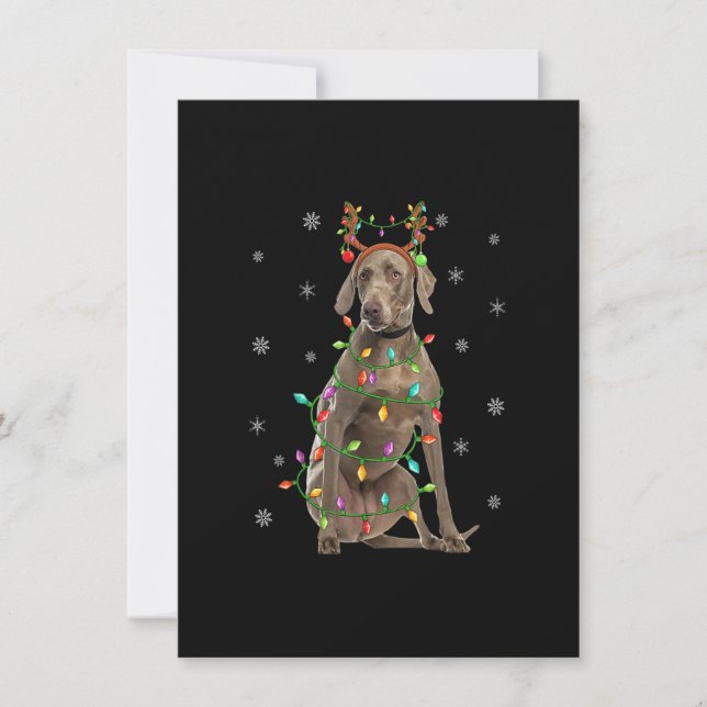 Invitación Weimaraner Dog Xmas Lughing Reindeer Weimaraner C (Anverso)