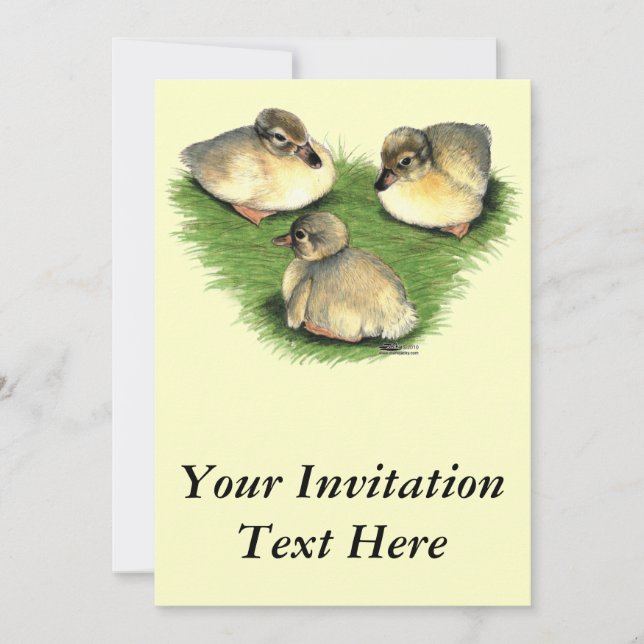 Invitación Welsh Harlequin Ducklings (Anverso)