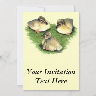 Invitación Welsh Harlequin Ducklings