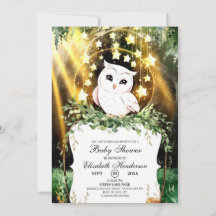 Whimsical Cute Owl Baby Shower
