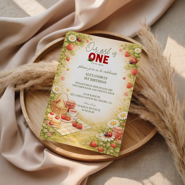 Invitación Whimsical Meadow Lady Bug 1st Birthday (Subido por el creador)