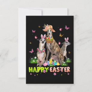 Invitación Whippet Conejo Feliz de Pascua Huevos Regalo de Pa