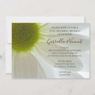 Invitación White Daisy Petals Post Boda Brunch