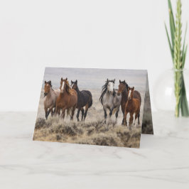 Invitación "Wild Mares and Foal on the Move"