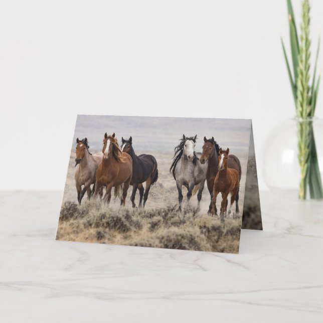 Invitación "Wild Mares and Foal on the Move" (Anverso)