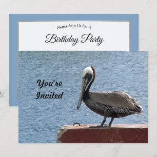 Invitación Wildlife Brown Pelican Water Photo Birday