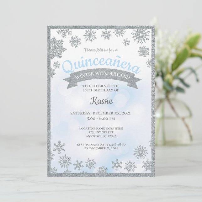 Invitación Winter Wonderland Quinceañera 15th Birthday Silver (Anverso de pie)