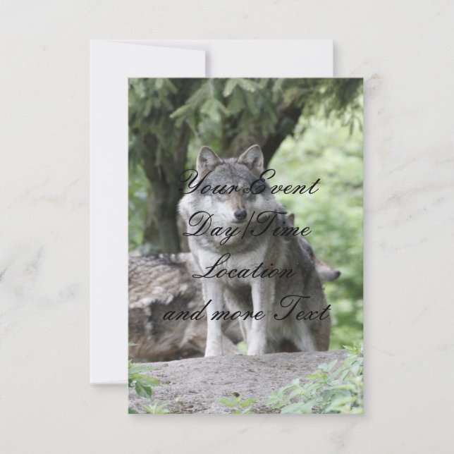 Invitación Wolf 14AJ (Anverso)