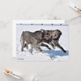 Invitación Wolfhounds irlandés corre en la nieve