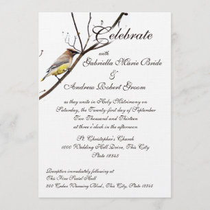 Invitación Woodland Waxwing