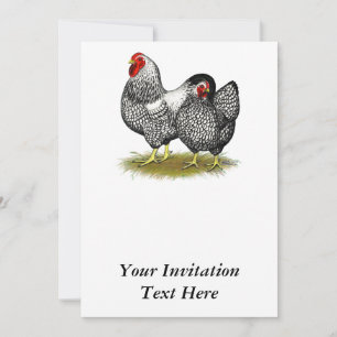 Invitación Wyandotte: Par Plateado