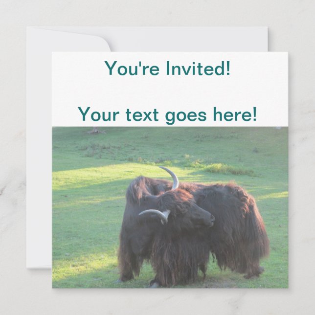Invitación Yak (Anverso)