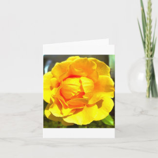Invitación Yellow Rose Greeting Card