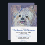 INVITACIÓN YORKIE PUPPY BLANCO DULCE DESEA FELIZ CUMPLEAÑOS<br><div class="desc">Este dulce y adorable White Yorkie Puppy le da la bienvenida a una divertida fiesta de cumpleaños para usted y el suyo, ya sea para adultos o niños. Una invitación única para, cumpleaños de cualquier edad! - imagen de la pintura acuarela original de los diseñadores. Toda la invitación se puede...</div>