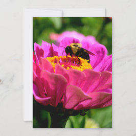 Invitación Zinnia rosa con abejorro, flores rosas, abeja lind