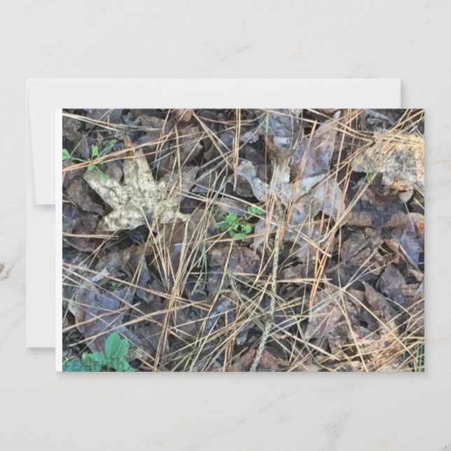 Invitaciones a Camo Blank, camuflaje (Anverso)