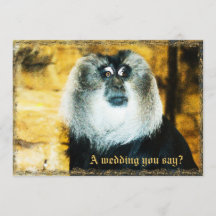 Invitaciones a la boda de un mono divertido en el 