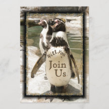 Invitaciones a la boda de un pingüino fotográfico