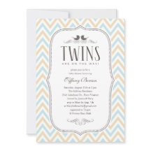 Invitaciones a la ducha de bebé Twin Boy