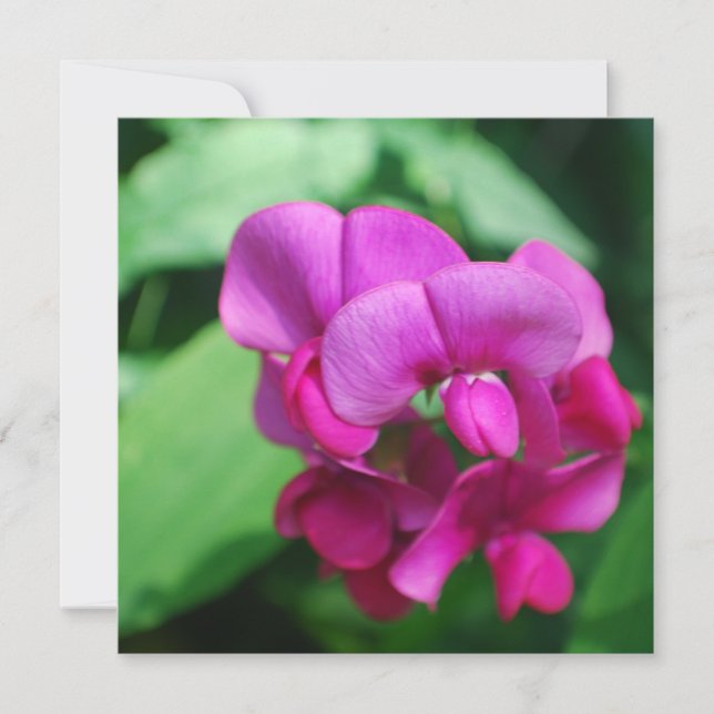 Invitaciones a la pastelería dulce (Anverso)