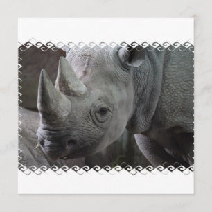 Invitaciones a los hechos en Rhino