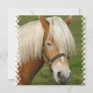 Invitaciones a Pony de Palomino