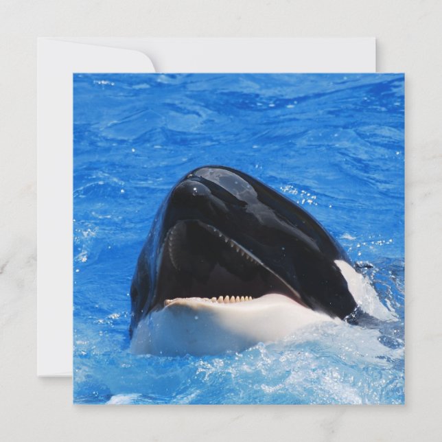 Invitaciones a sonidos de ballena (Anverso)