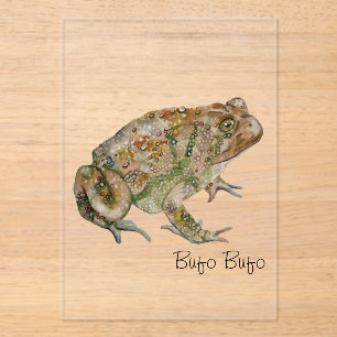 Invitaciones Acrílicas Anfibios, reptiles e insectos acuarela