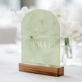 Invitaciones Acrílicas Arqueta Acrílico Verde Salvia Boda Mesa Número Dos