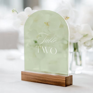 Invitaciones Acrílicas Arqueta Acrílico Verde Salvia Boda Mesa Número Dos