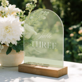 Invitaciones Acrílicas Arqueta Acrílico Verde Salvia Boda Mesa Número Tre