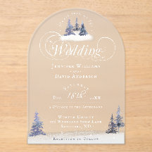 Boda en forma de arco de nieve de bosque mágico de